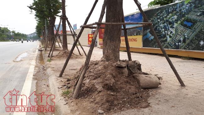 Đường Võ Chí Công bụi mù mịt, ô nhiễm môi trường ảnh 8